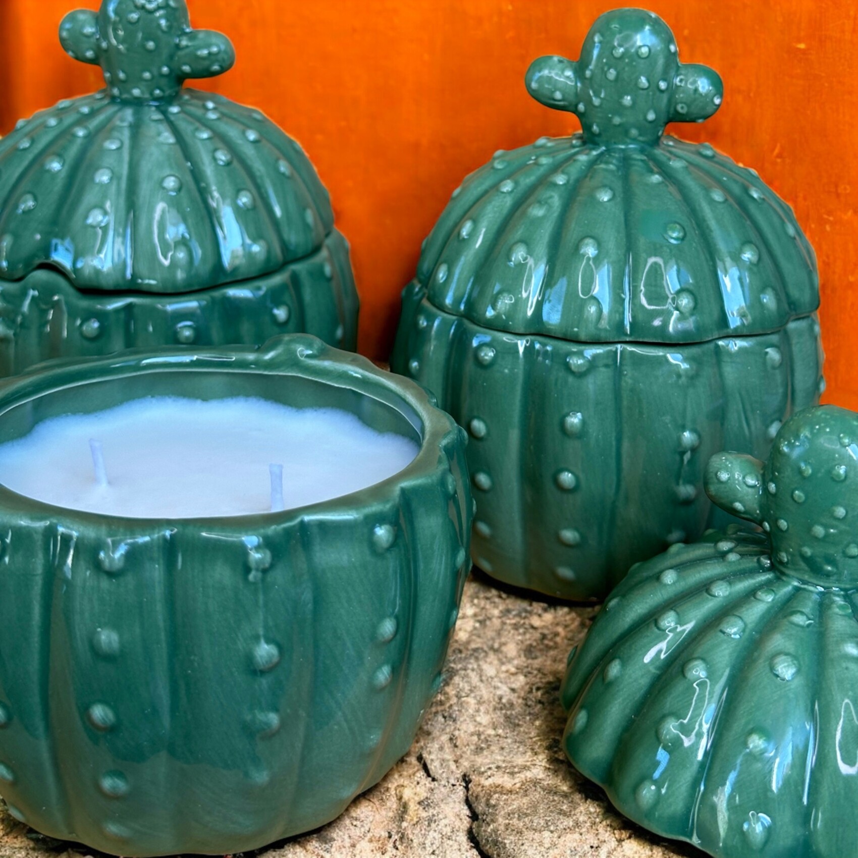 Cactus candle 🌵